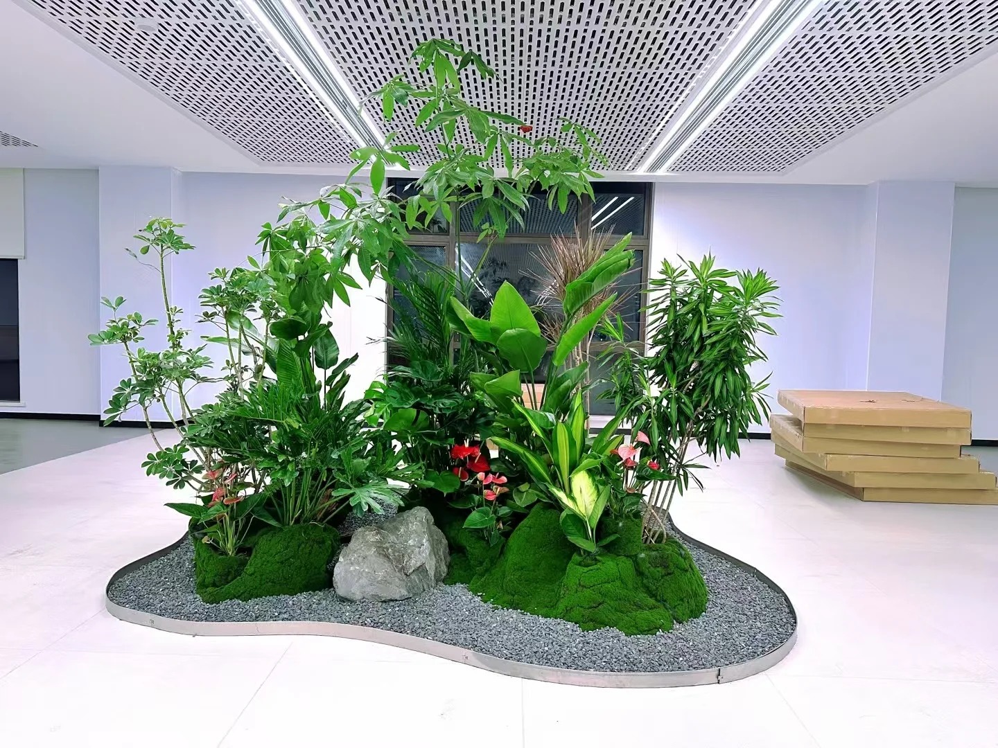 专业服务选前湾花木出租,让你的空间绿意盎然!